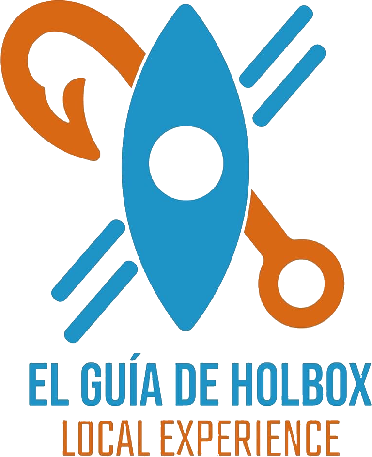 El Guía de Holbox · Local Experience